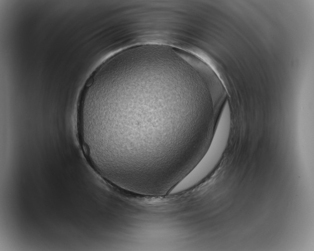 X0000088671147200706141331