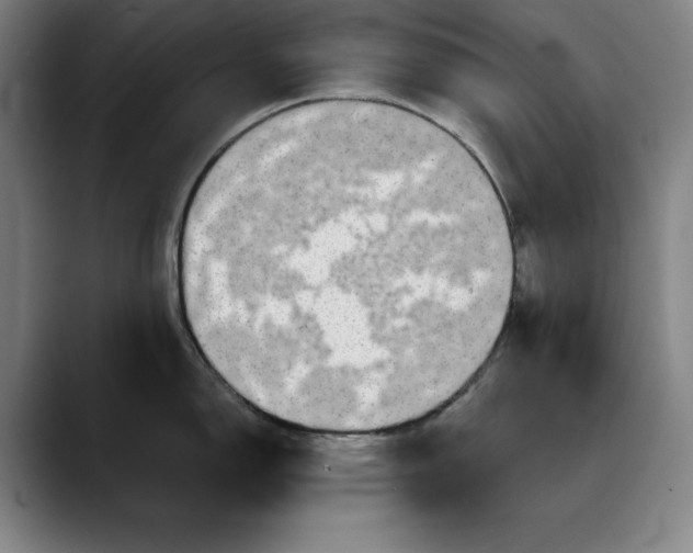 X0000088671150200706141331