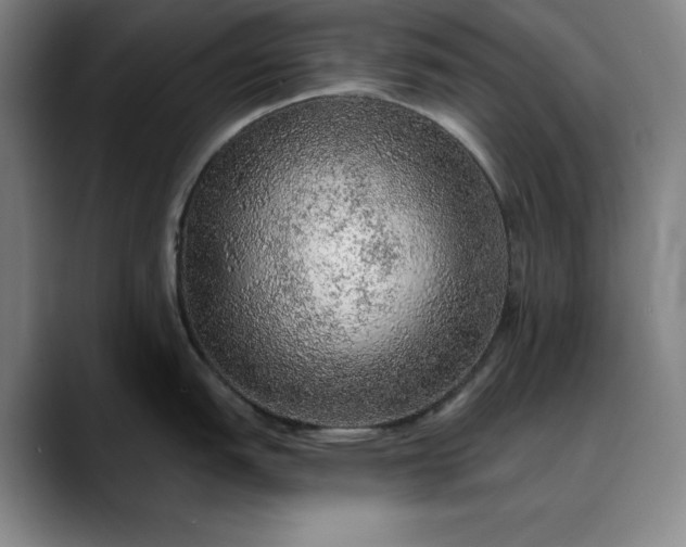 X0000088671151200706141331