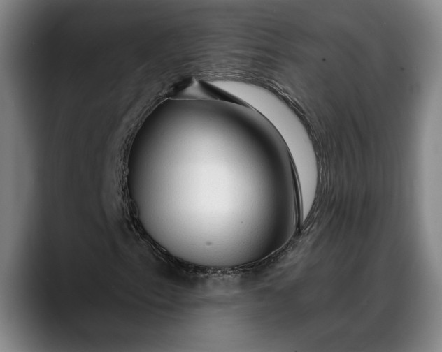 X0000088671153200706141331