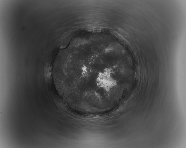 X0000088671154200706141331