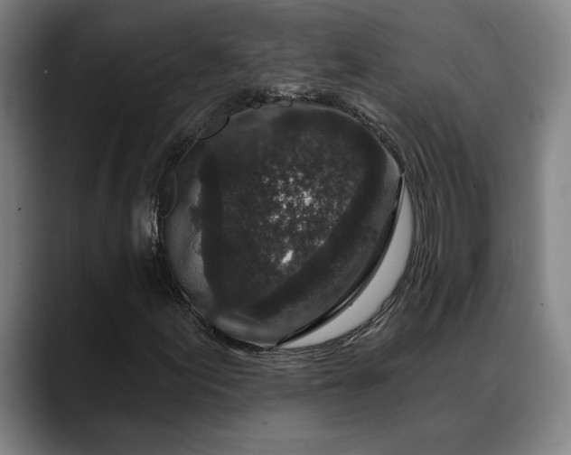 X0000088671155200706141331