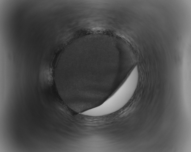 X0000088671156200706141331
