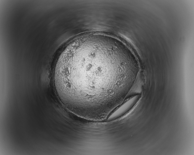 X0000088671163200706141331