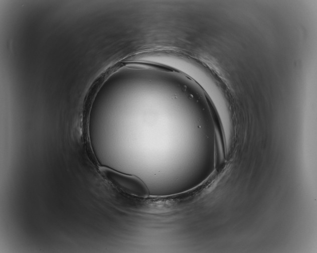 X0000088671165200706141331