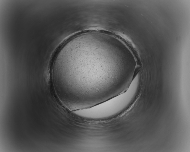 X0000088671167200706141331