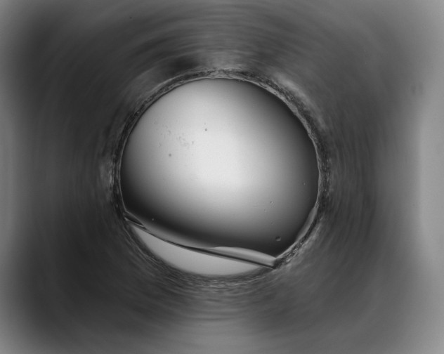 X0000088671169200706141331