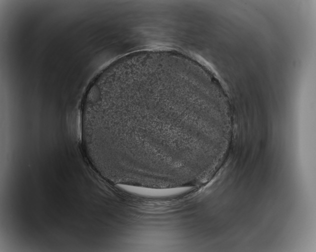 X0000088671171200706141331