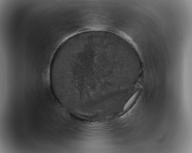 X0000088671174200706141331