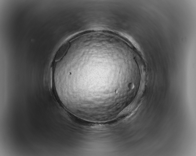 X0000088671175200706141331