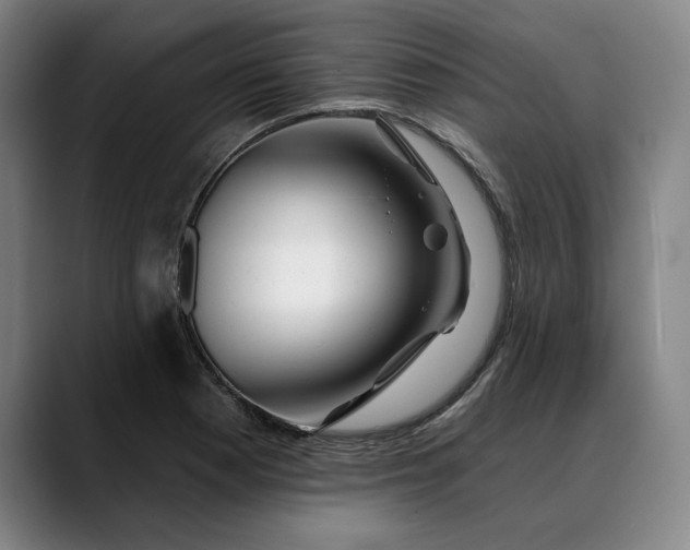 X0000088671177200706141331