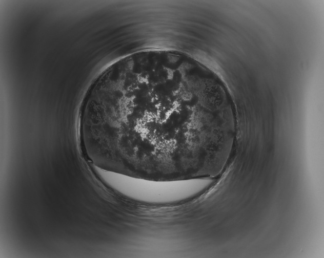 X0000088671179200706141331