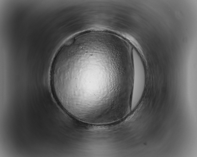 X0000088671183200706141330