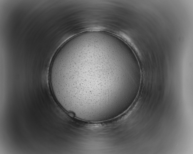 X0000088671186200706141330
