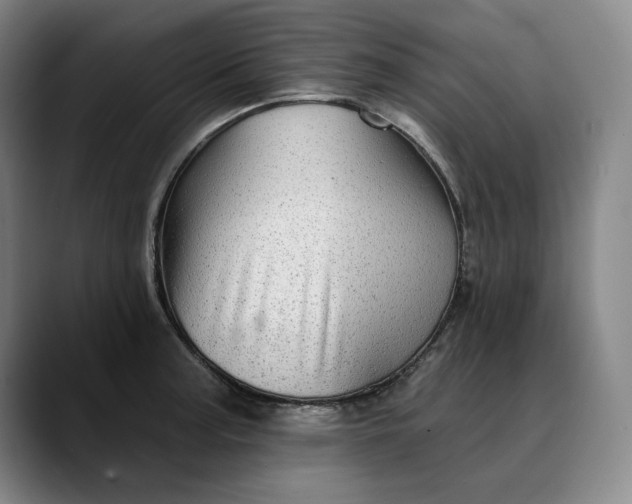 X0000088671187200706141330
