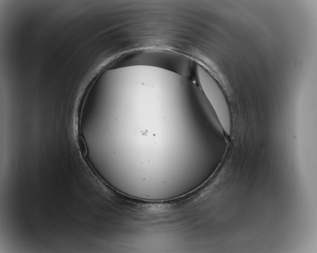 X0000088671188200706141330