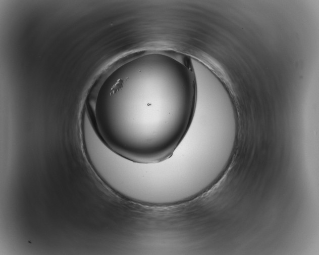 X0000088671192200706141330
