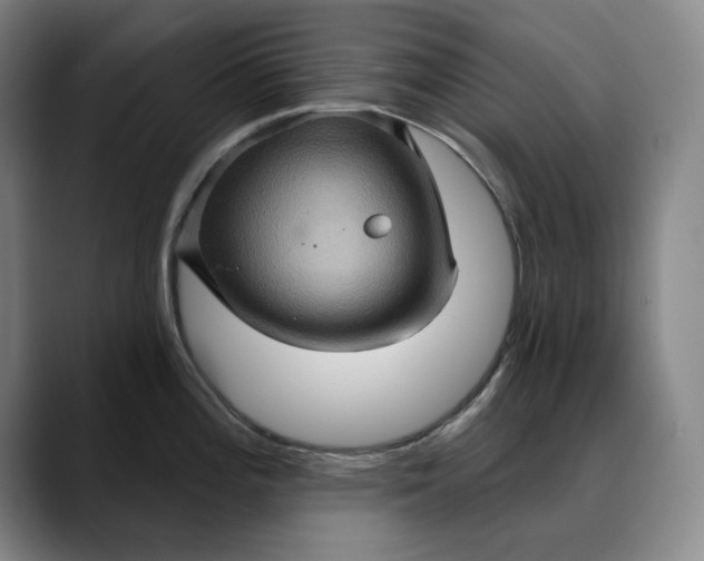 X0000088671196200706141330