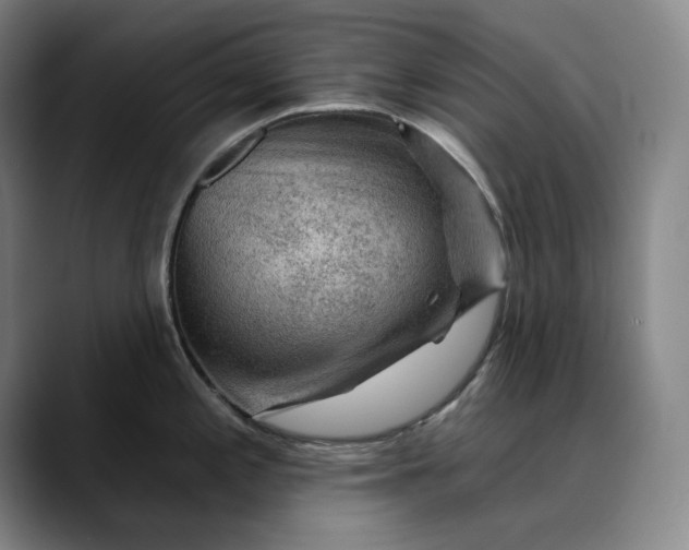 X0000088671197200706141330