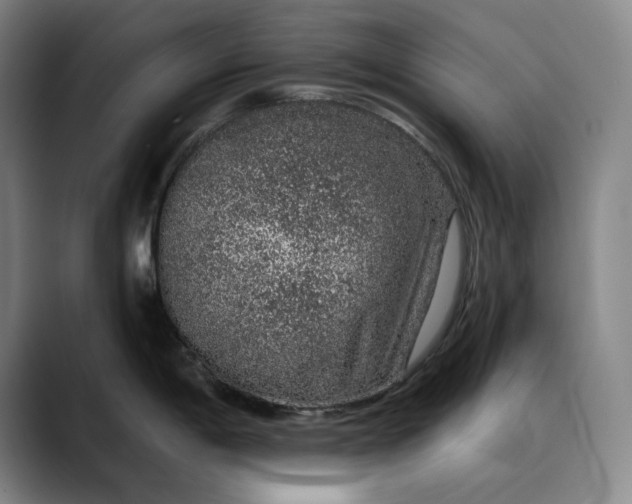 X0000088671198200706141330