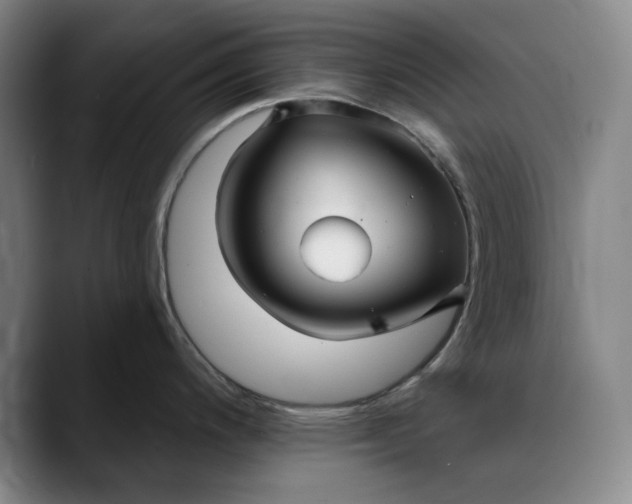 X0000088671200200706141330