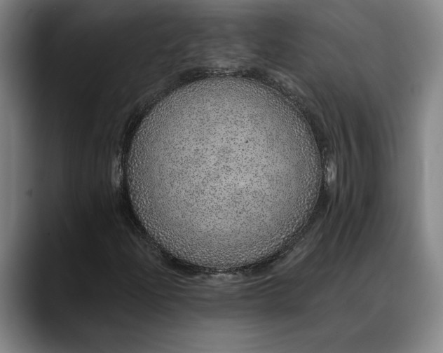 X0000088671204200706141330