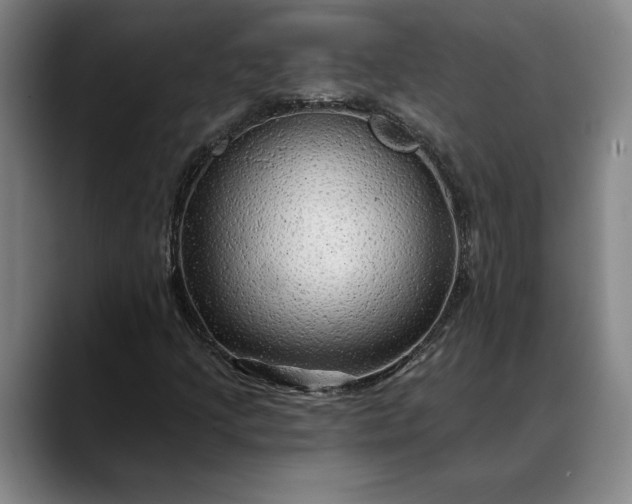 X0000088671205200706141330