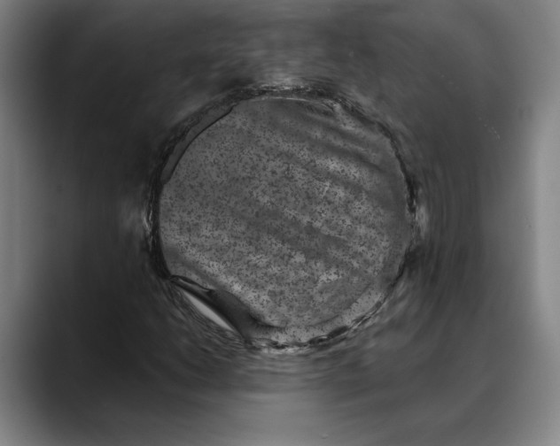 X0000088671206200706141330
