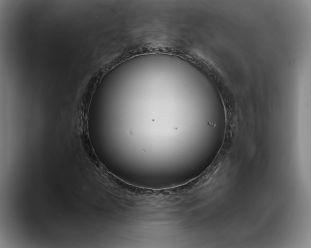 X0000088671207200706141330