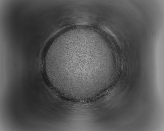 X0000088671208200706141330