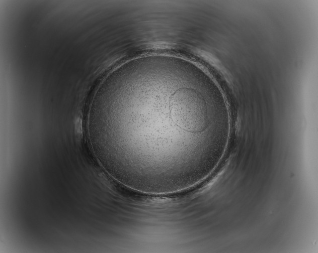 X0000088671209200706141330