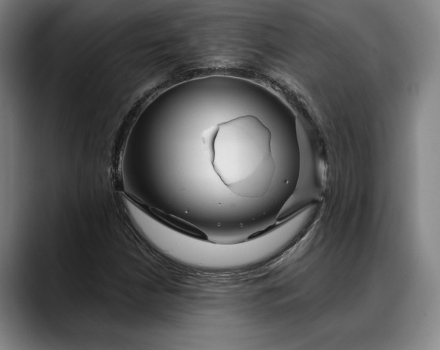 X0000088671210200706141330