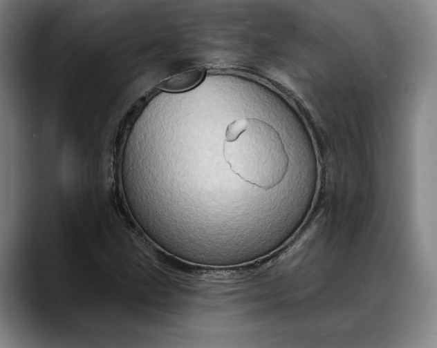 X0000088671211200706141330