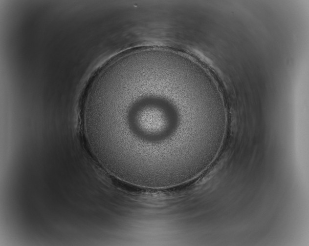 X0000088671215200706141330