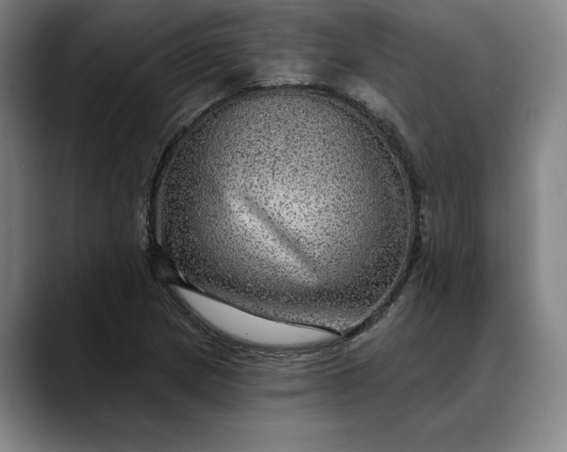 X0000088671217200706141330