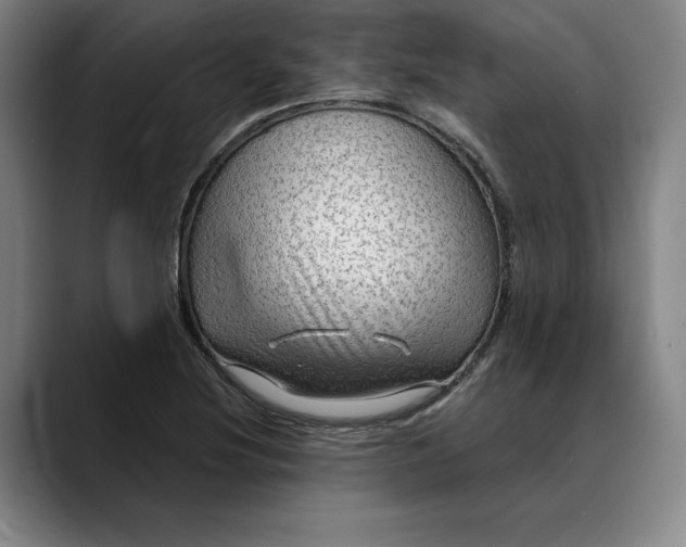 X0000088671220200706141330