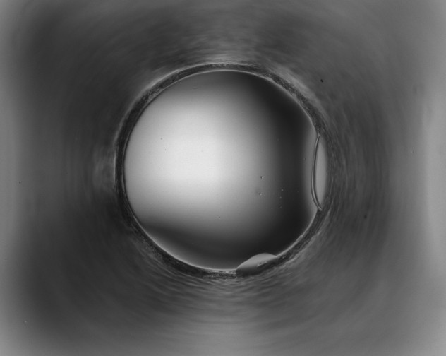 X0000088671222200706141330