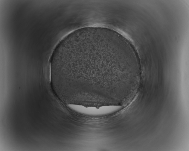 X0000088671223200706141330