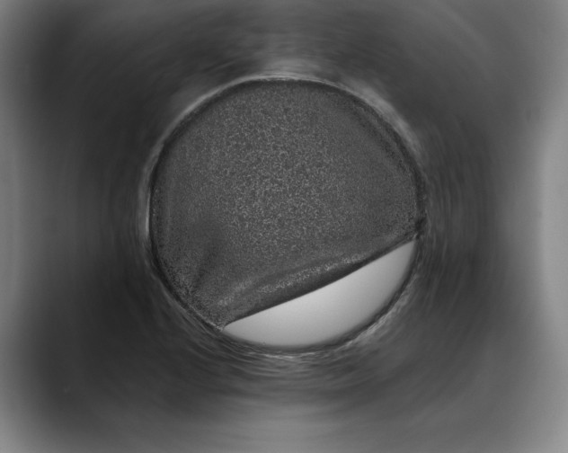 X0000088671224200706141330