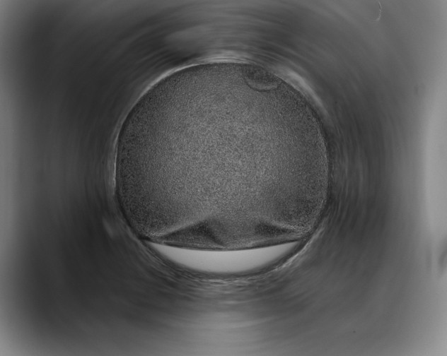 X0000088671228200706141330