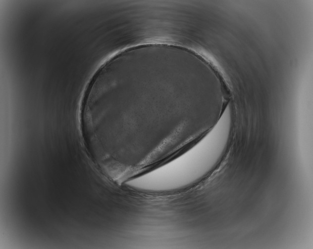 X0000088671230200706141330