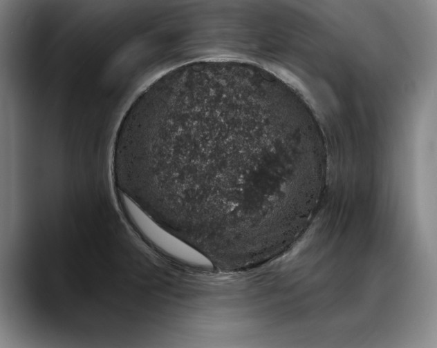 X0000088671231200706141330