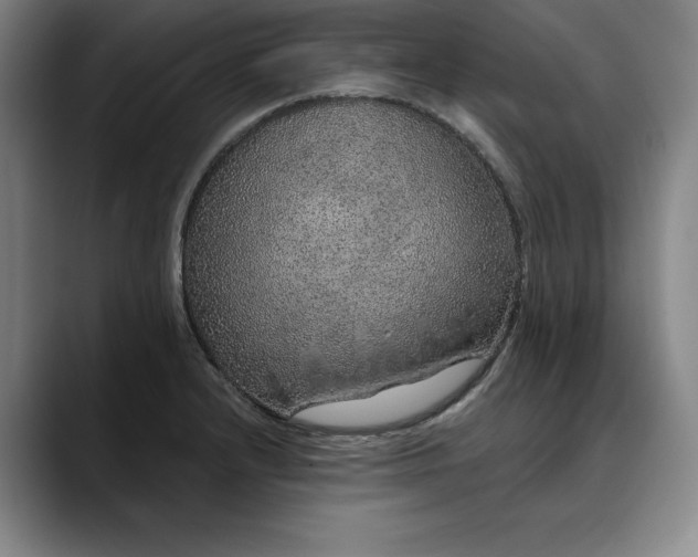 X0000088671232200706141330