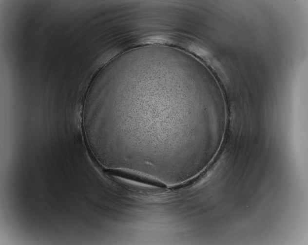 X0000088671233200706141330