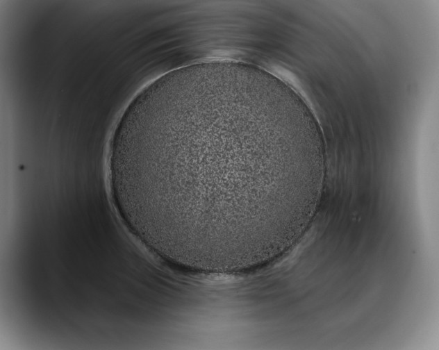 X0000088671235200706141330
