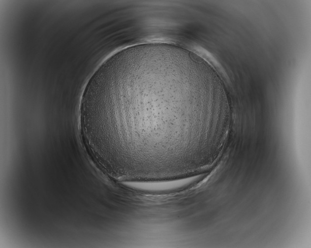 X0000088671236200706141330