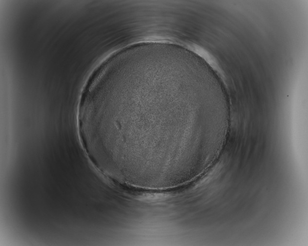 X0000088671237200706141330