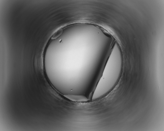 X0000088671238200706141330