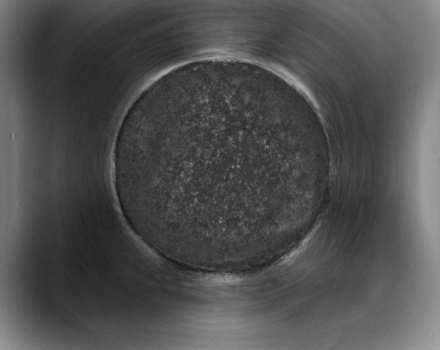 X0000088671239200706141330