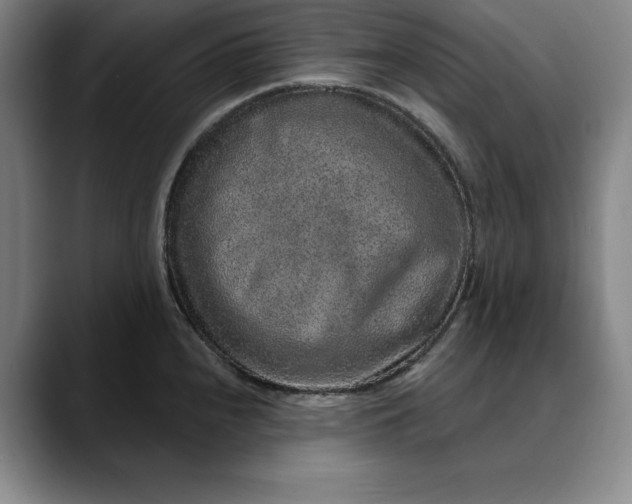 X0000088671240200706141330